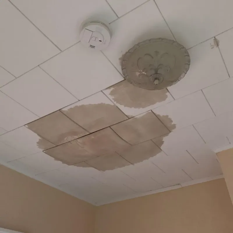 Ceiling Water Damage Repair in Hopewell, TN