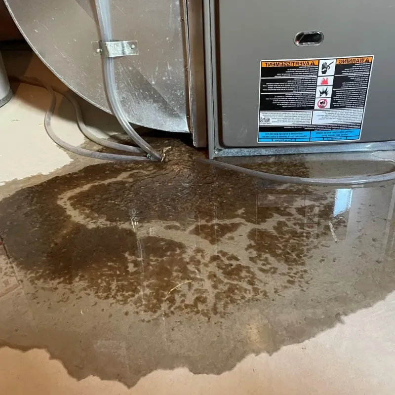 Pipe Burst and Leak Restoration in Hopewell, TN